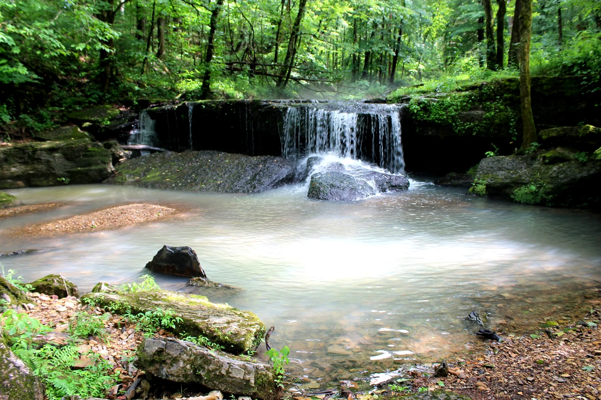 Trace Creek Falls in a wooded setting